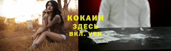 spice Алексин