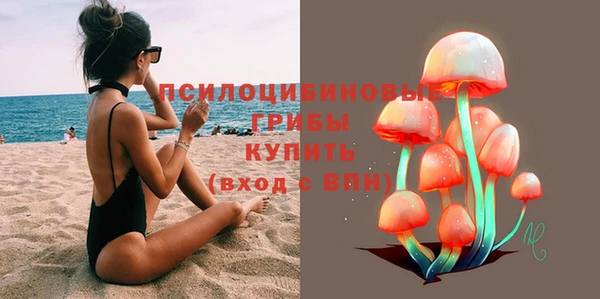 spice Алексин