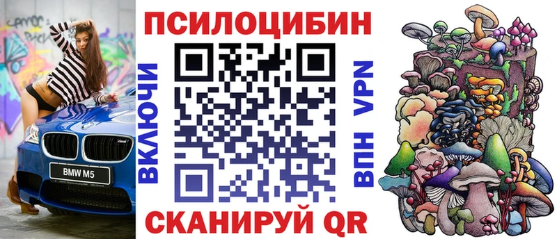 как найти закладки  Новая Усмань  Псилоцибиновые грибы Magic Shrooms 